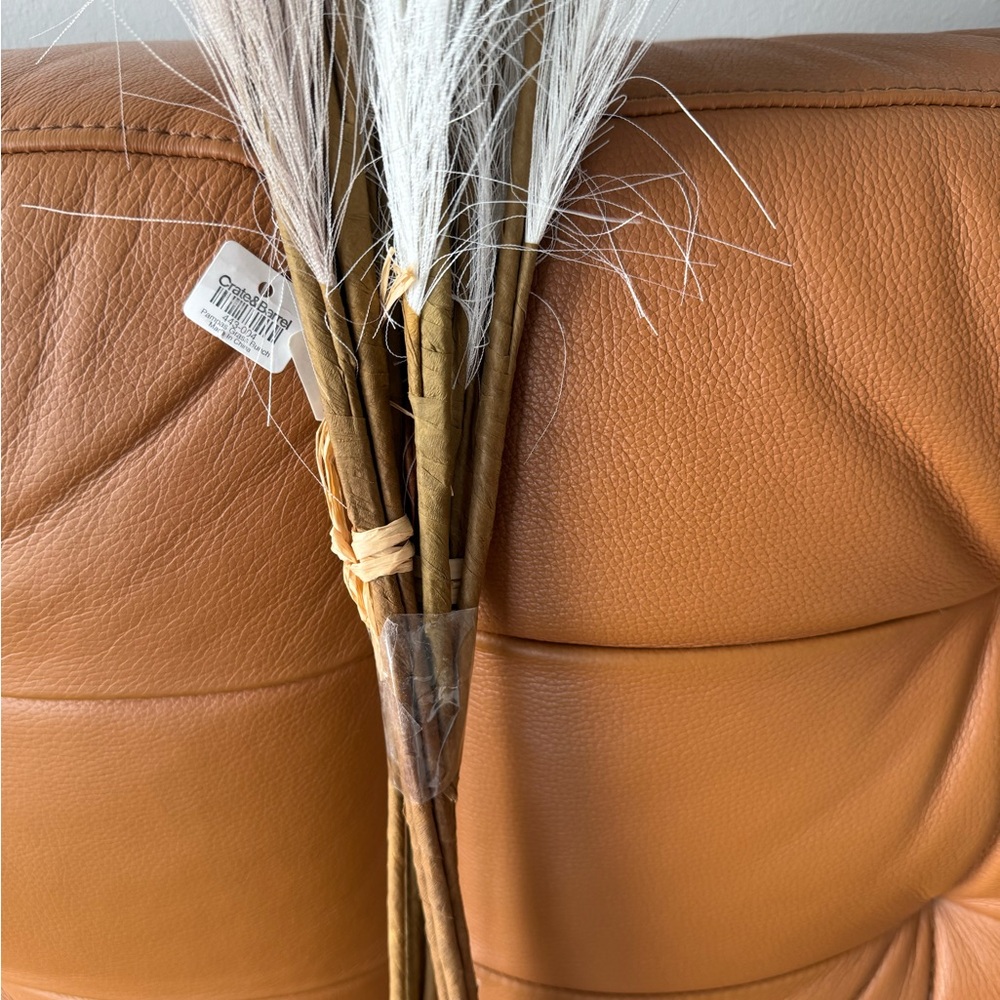 Crate& Barrel Faux Pampas Grass 45" (3 bunches) - Picture 6 of 6